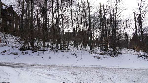 0.31 Acres of Residential Land for Sale in Davis, West Virginia