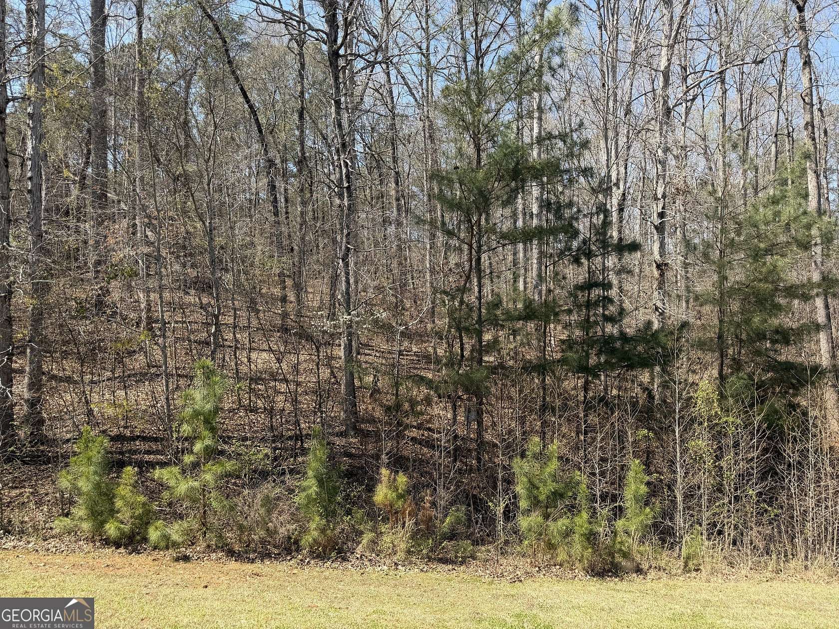 1.45 Acres of Residential Land for Sale in Forsyth, Georgia