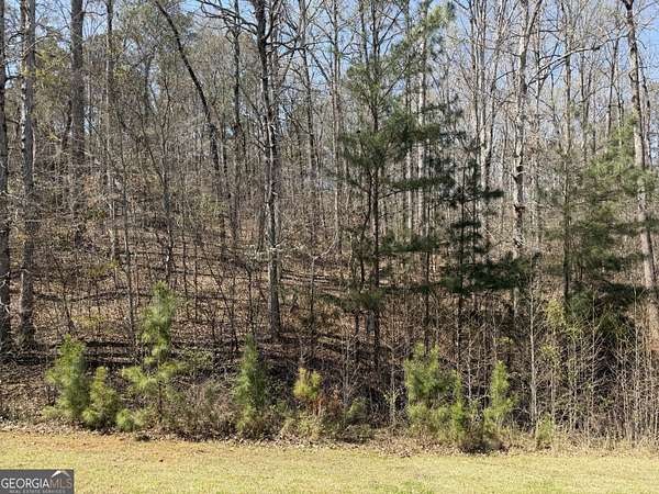 1.45 Acres of Residential Land for Sale in Forsyth, Georgia