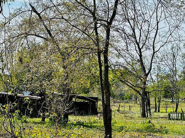 17 Acres of Land for Sale in Jacksonville, Florida