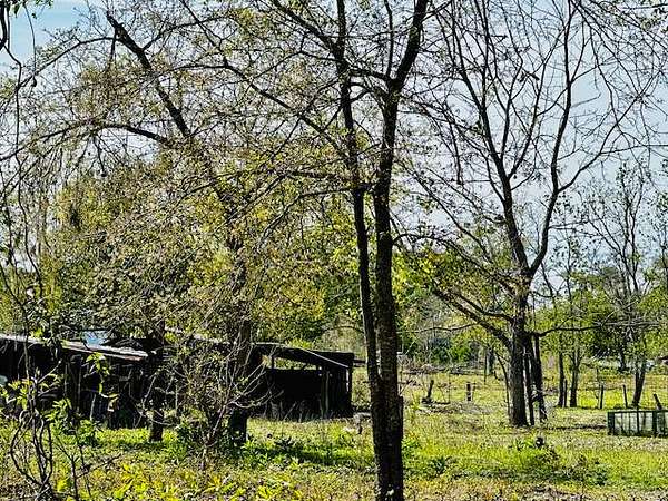 17 Acres of Land for Sale in Jacksonville, Florida