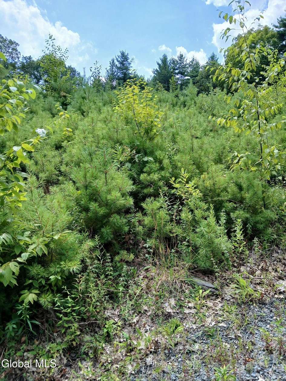 7.56 Acres of Residential Land for Sale in New Scotland, New York