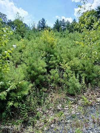 7.56 Acres of Residential Land for Sale in New Scotland, New York
