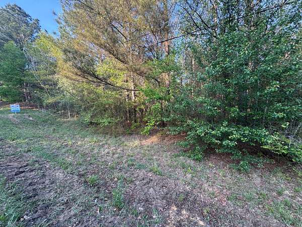 17.9 Acres of Land for Sale in Winfield, Alabama