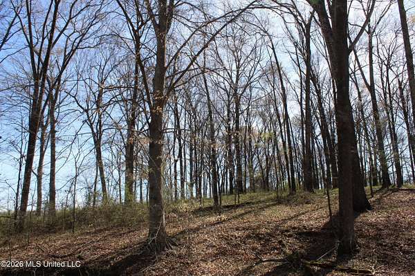 1.67 Acres of Residential Land for Sale in Olive Branch, Mississippi