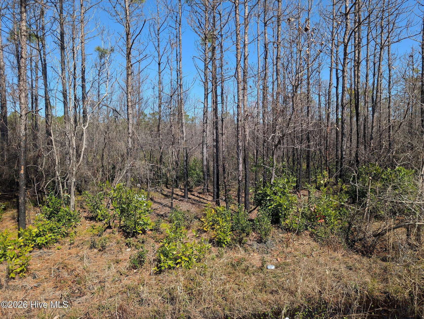 0.24 Acres of Land for Sale in Boiling Spring Lakes, North Carolina