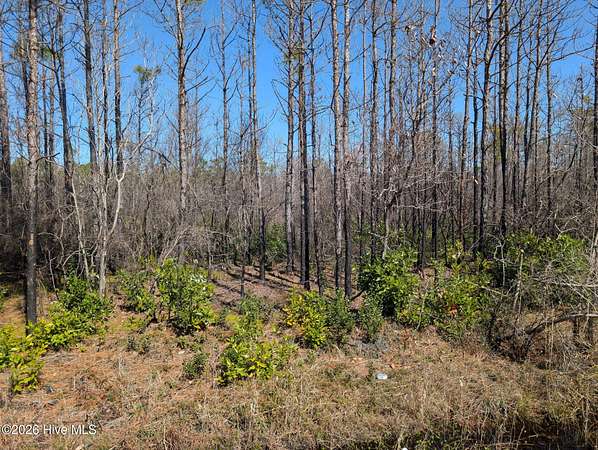 0.24 Acres of Land for Sale in Boiling Spring Lakes, North Carolina