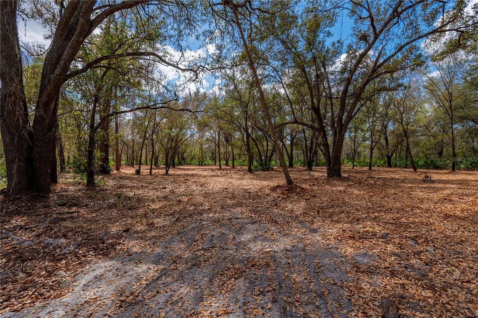 30 Acres of Recreational & Residential Land for Sale in Arcadia, Florida