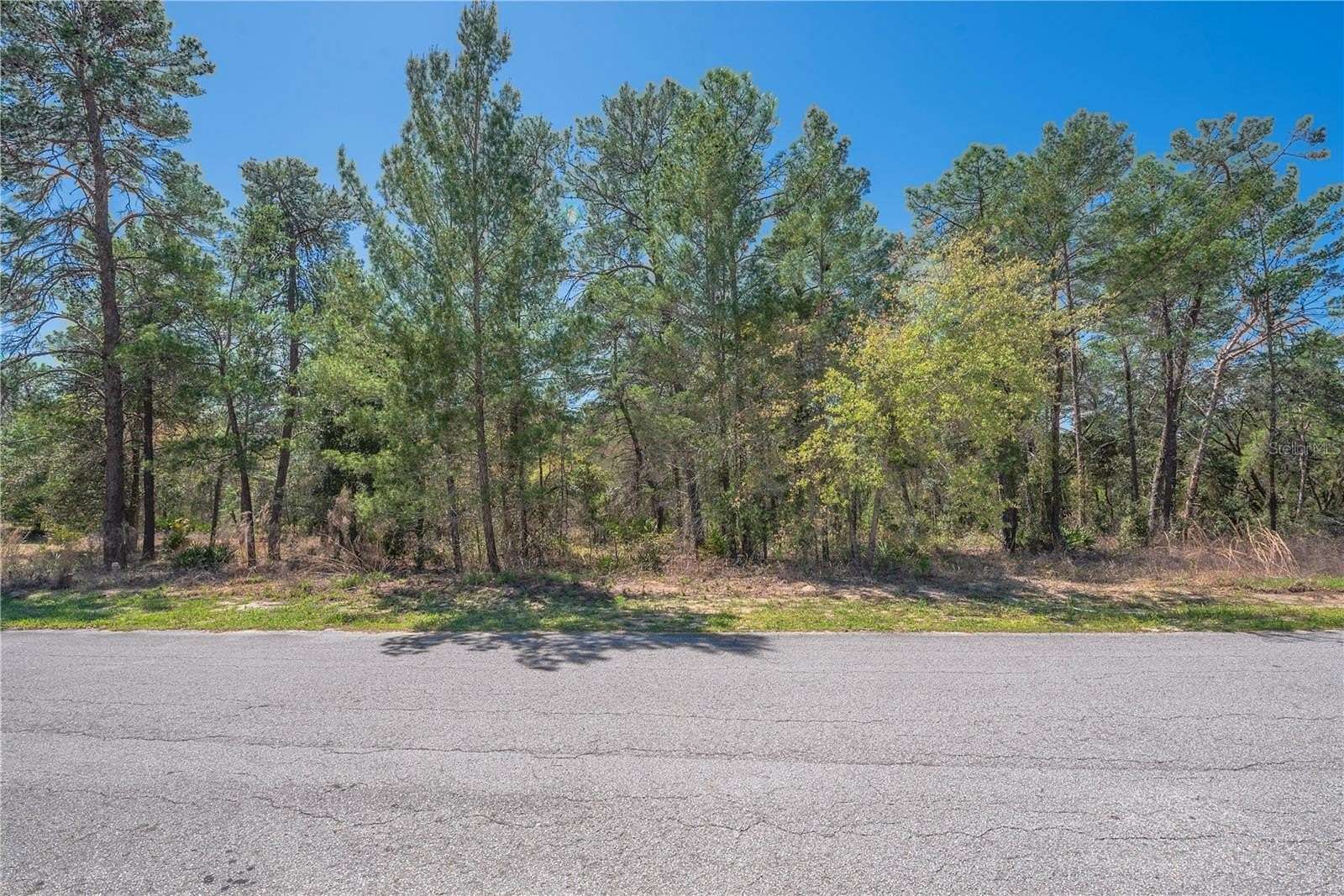 0.28 Acres of Residential Land for Sale in Homosassa, Florida