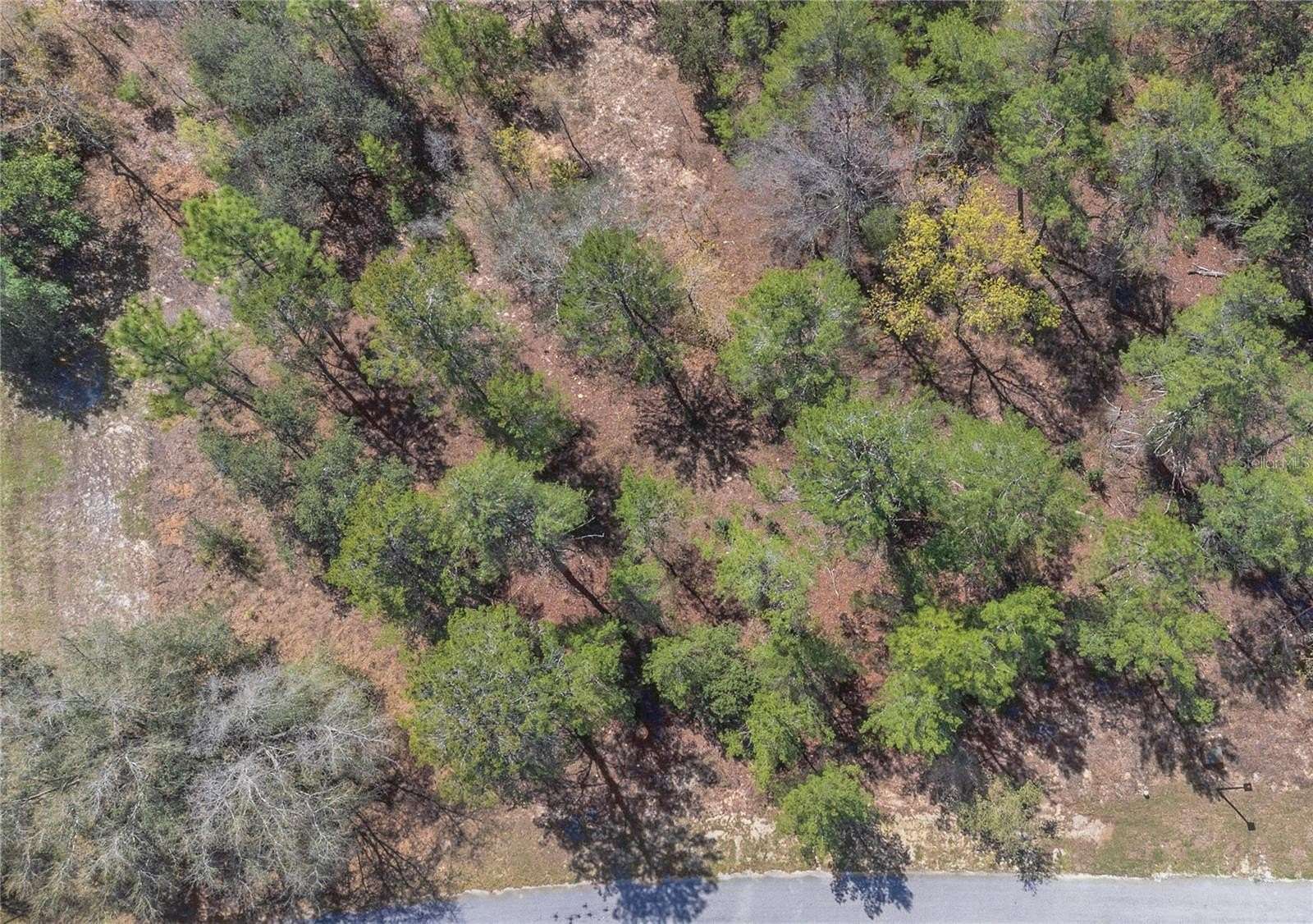 0.28 Acres of Residential Land for Sale in Homosassa, Florida