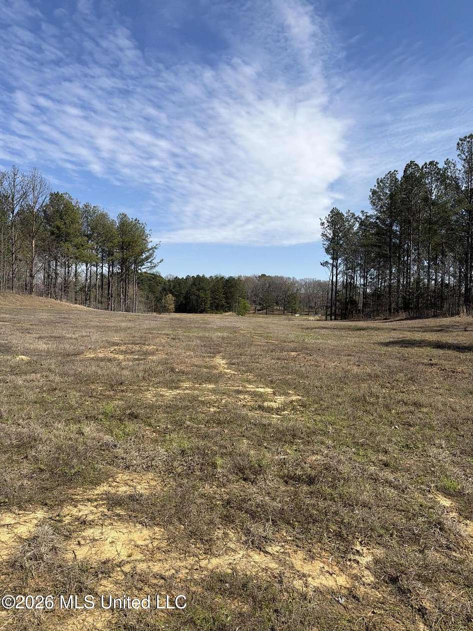 2 Acres of Residential Land for Sale in Lake Cormorant, Mississippi
