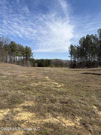 2 Acres of Residential Land for Sale in Lake Cormorant, Mississippi