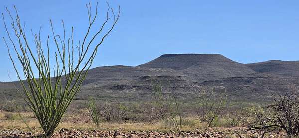 36 Acres of Recreational Land for Sale in Tombstone, Arizona