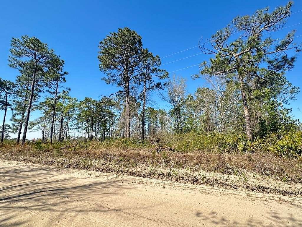 2 Acres of Mixed-Use Land for Sale in Baxley, Georgia