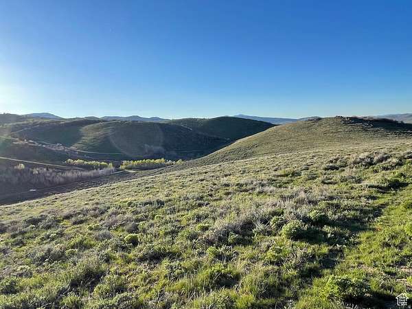 20 Acres of Recreational & Residential Land for Sale in Montpelier, Idaho
