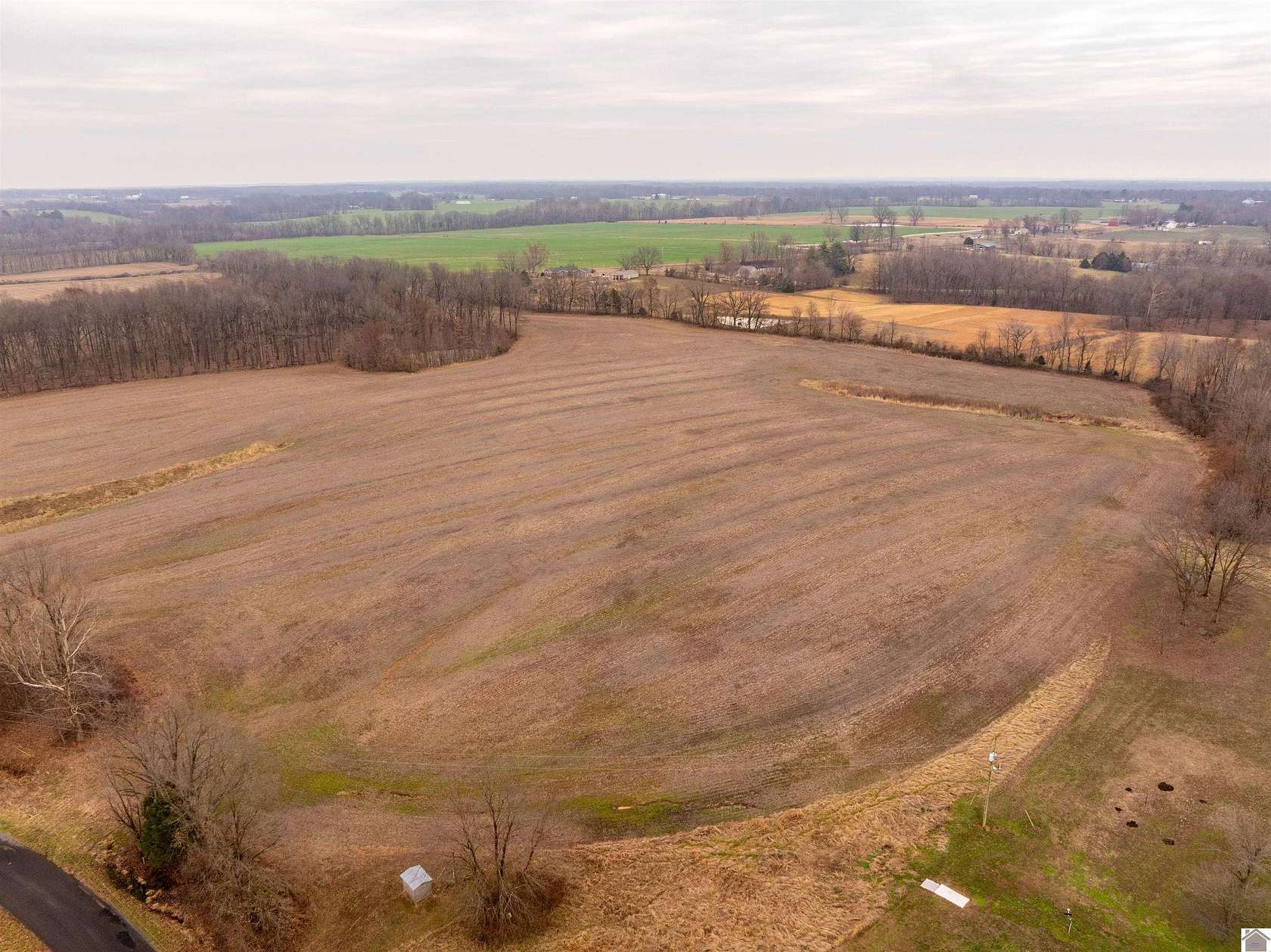 55 Acres of Recreational & Residential Land for Sale in Mayfield, Kentucky