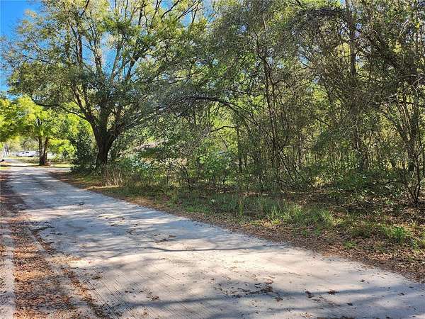 0.41 Acres of Residential Land for Sale in Summerfield, Florida