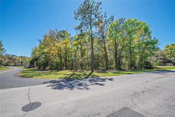 0.29 Acres of Residential Land for Sale in Homosassa, Florida