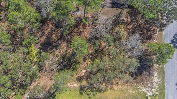 0.26 Acres of Residential Land for Sale in Homosassa, Florida