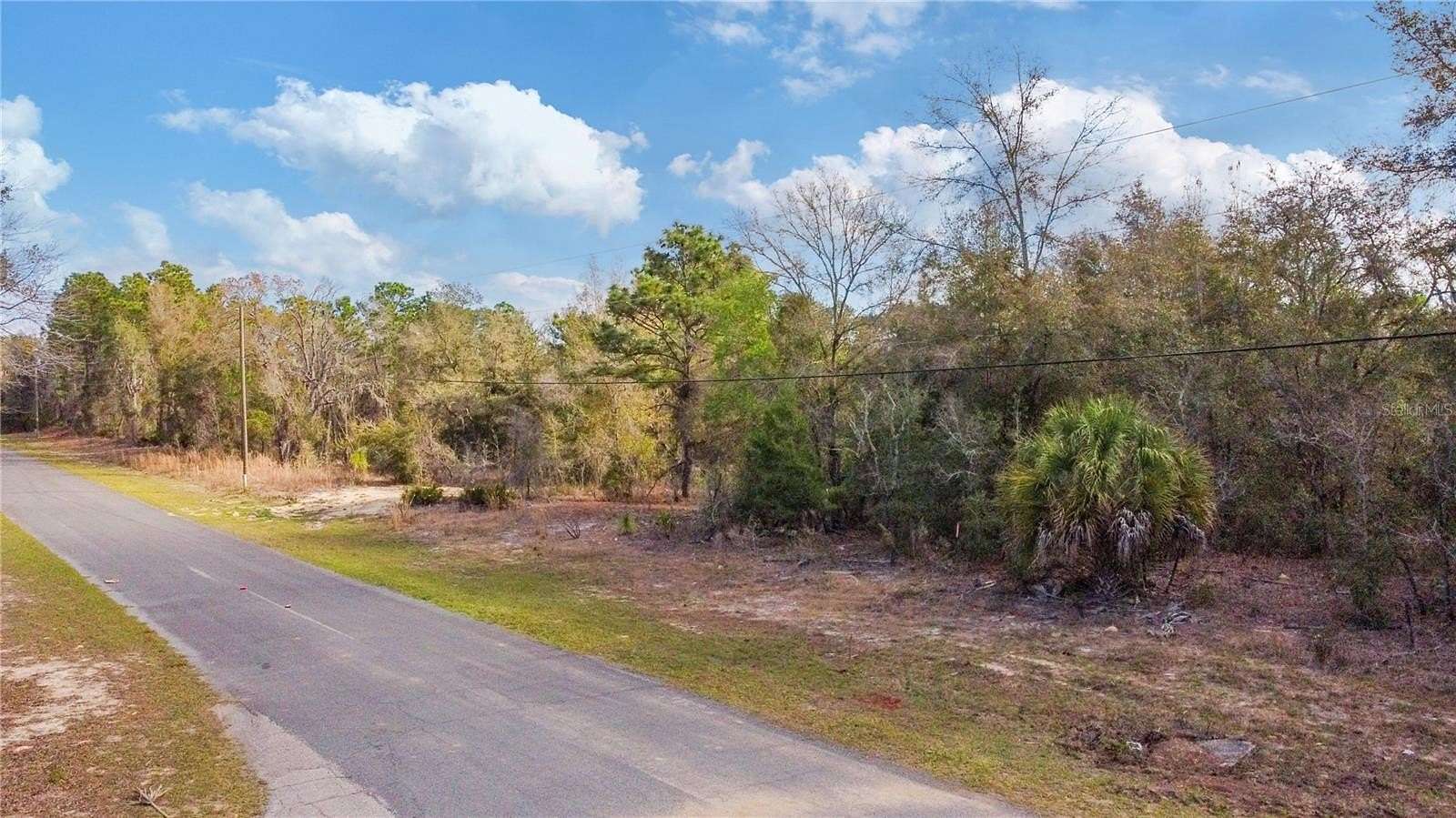 2.75 Acres of Residential Land for Sale in Beverly Hills, Florida