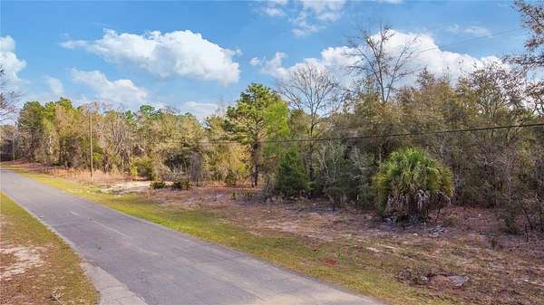 2.75 Acres of Residential Land for Sale in Beverly Hills, Florida