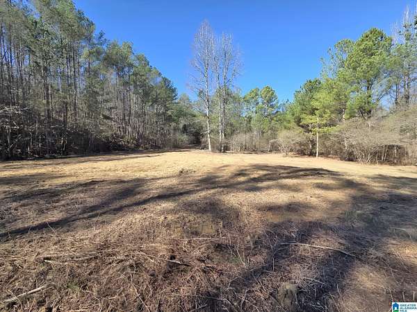2 Acres of Residential Land for Sale in Sumiton, Alabama