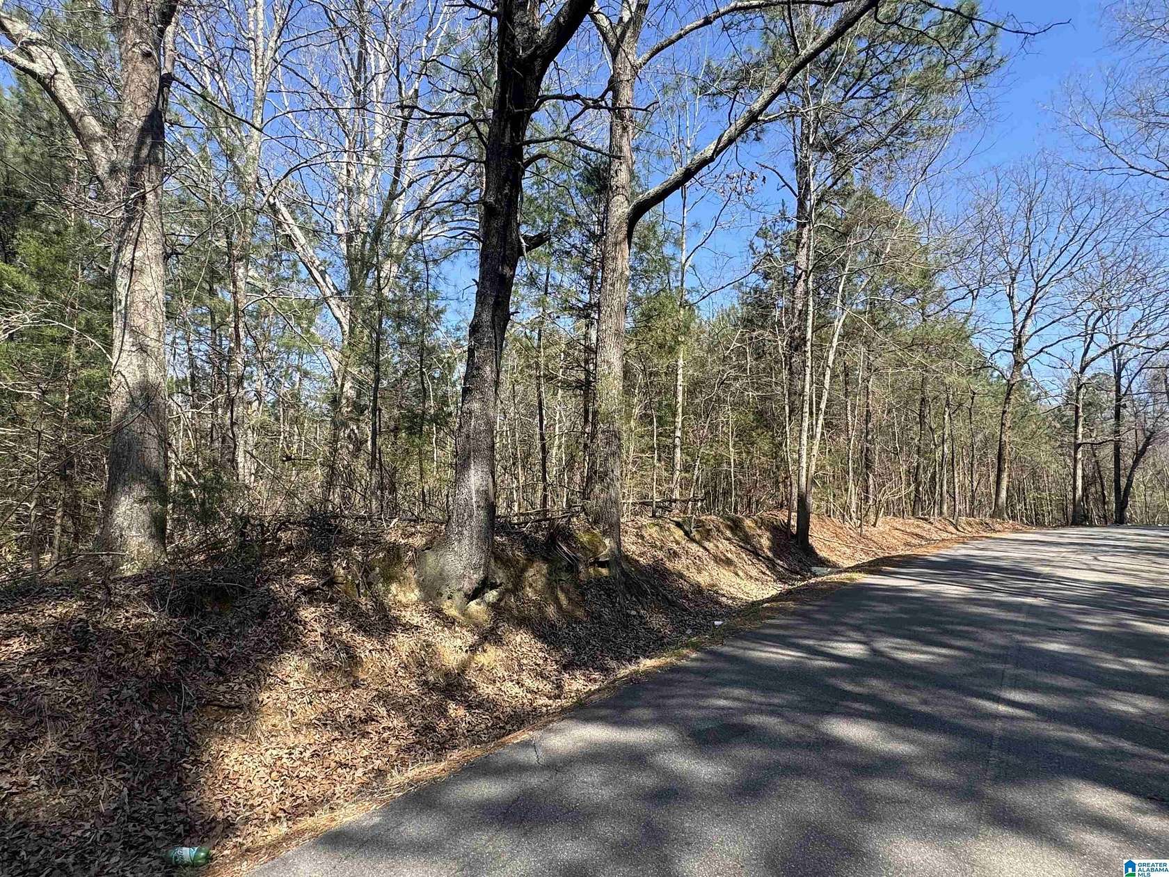 7.2 Acres of Land for Sale in Anniston, Alabama