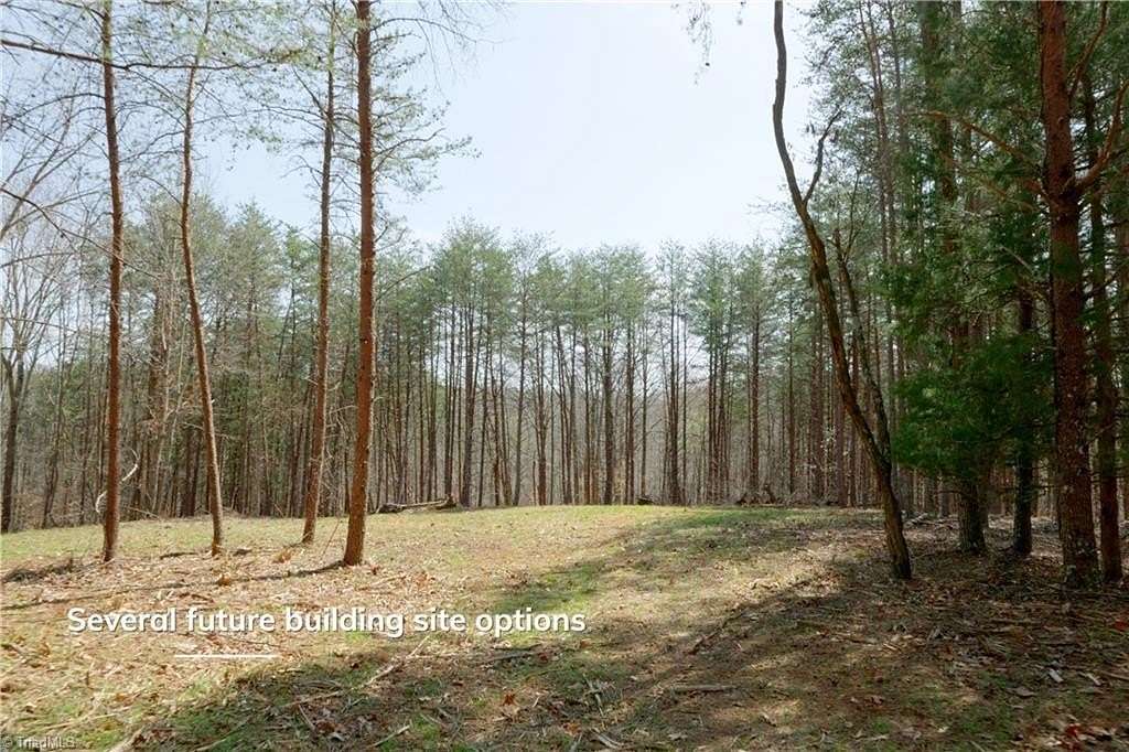 37 Acres of Land for Sale in Danbury, North Carolina