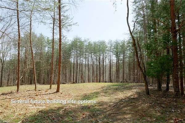 37 Acres of Land for Sale in Danbury, North Carolina