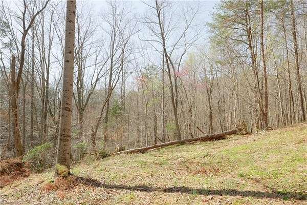 20.8 Acres of Land for Sale in Danbury, North Carolina