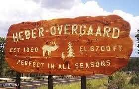 0.74 Acres of Residential Land for Sale in Heber, Arizona