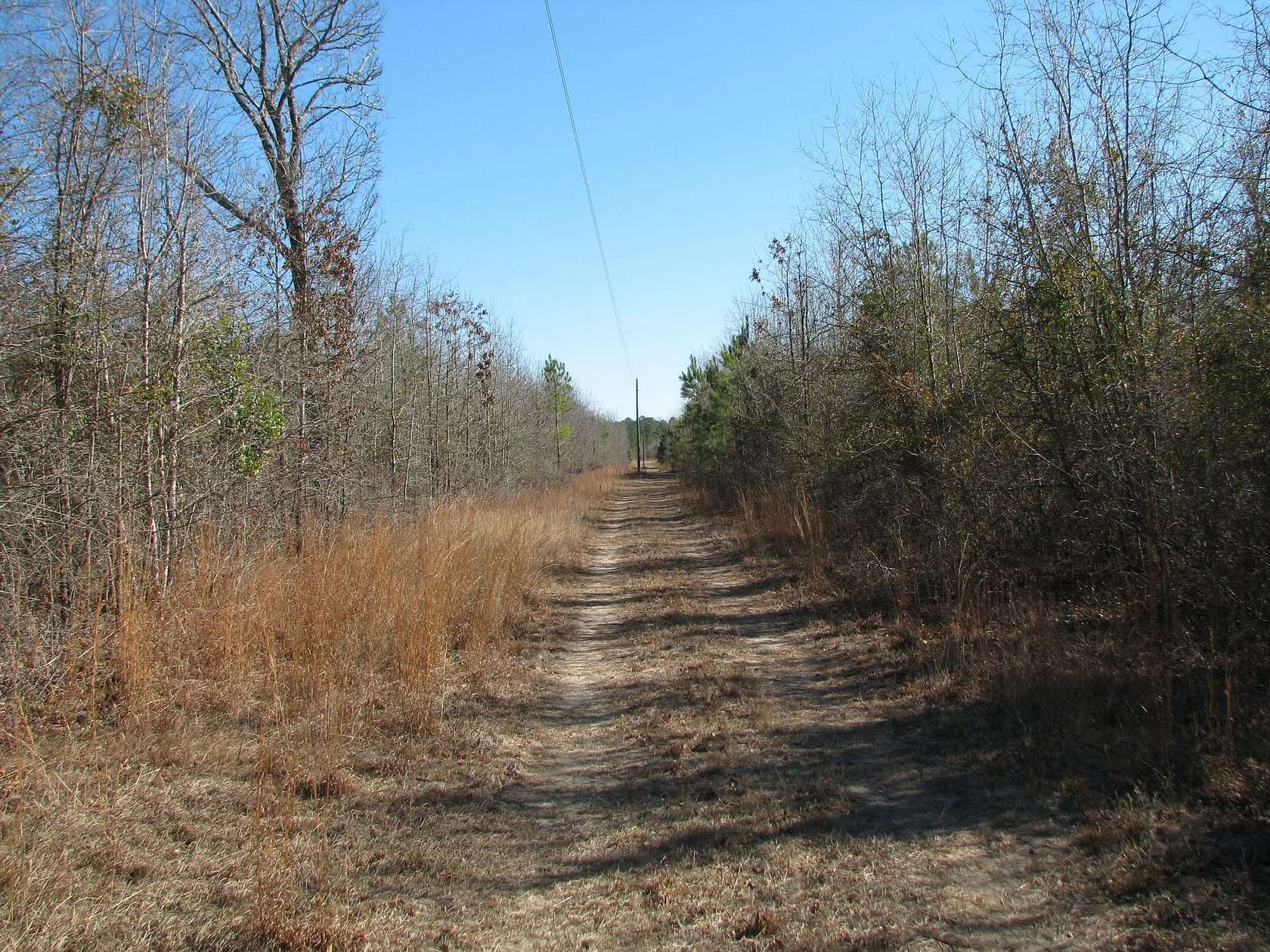 75 Acres of Land for Sale in Dalzell, South Carolina