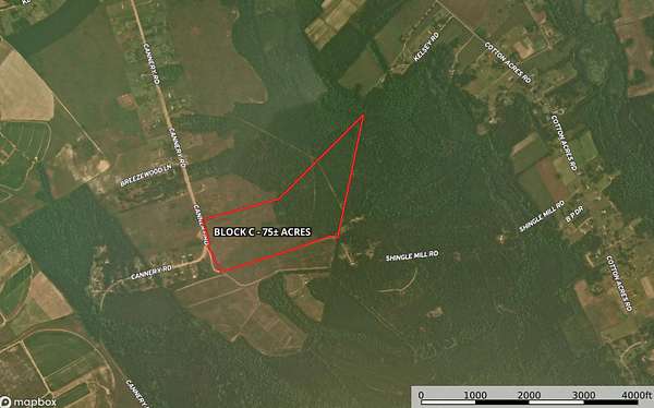 75 Acres of Land for Sale in Dalzell, South Carolina