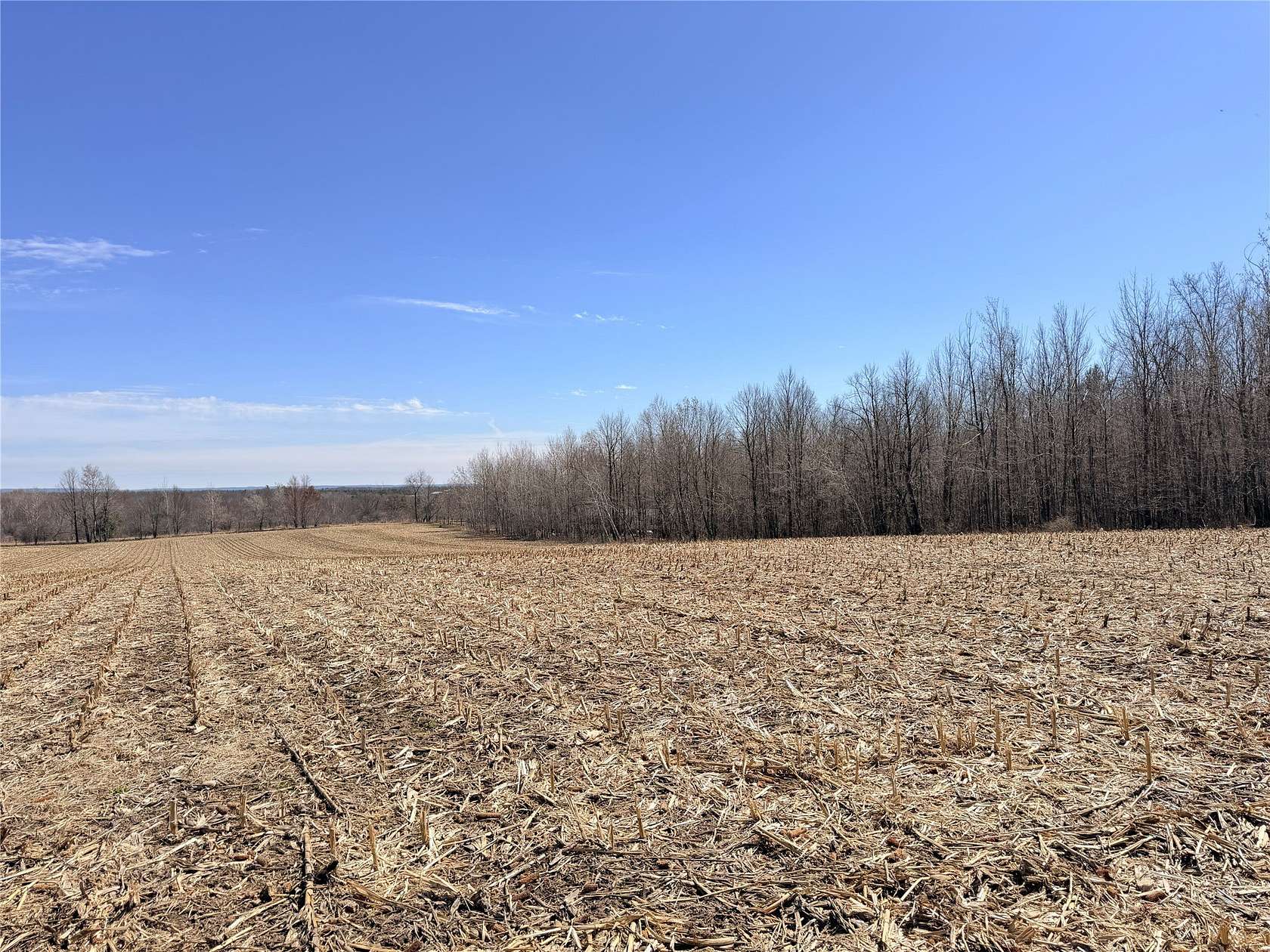7.68 Acres of Residential Land for Sale in Rice Lake, Wisconsin