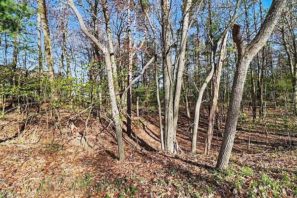1.13 Acres of Residential Land for Sale in Mears, Michigan