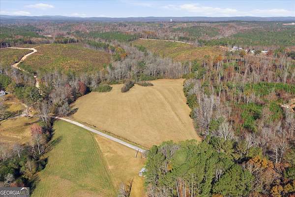 12 Acres of Land for Sale in Macedonia, Alabama