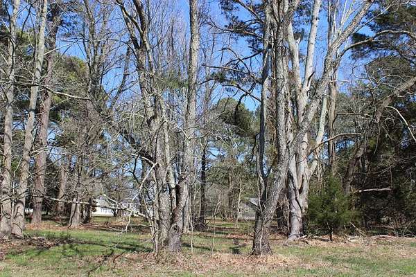 0.22 Acres of Residential Land for Sale in Greenbackville, Virginia