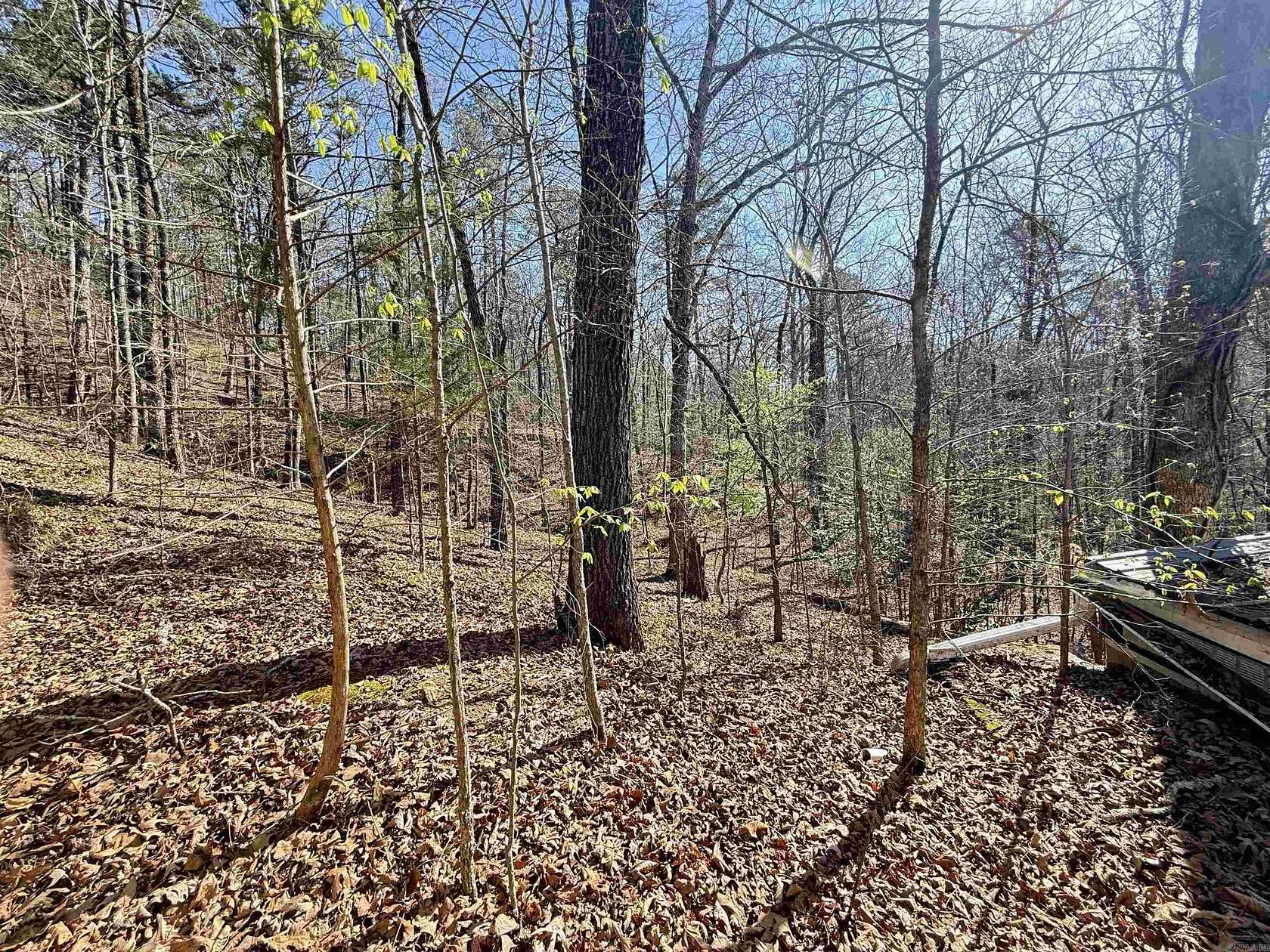 100 Acres of Recreational & Residential Land for Sale in Caddo Gap, Arkansas