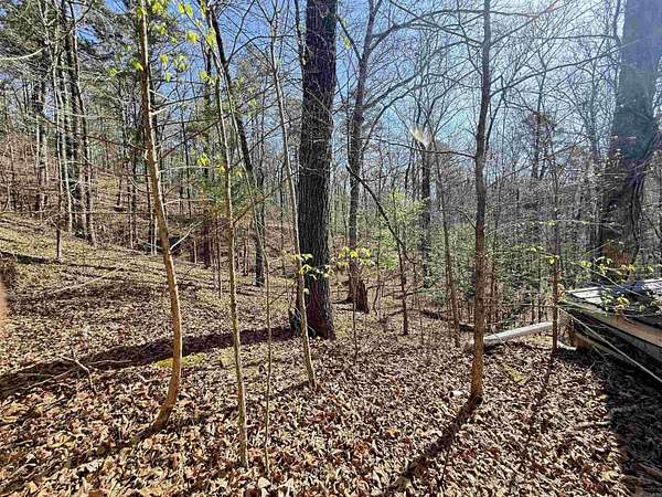 100 Acres of Recreational & Residential Land for Sale in Caddo Gap, Arkansas