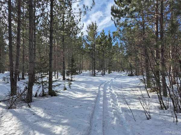 40 Acres of Recreational Land for Sale in Champion, Michigan