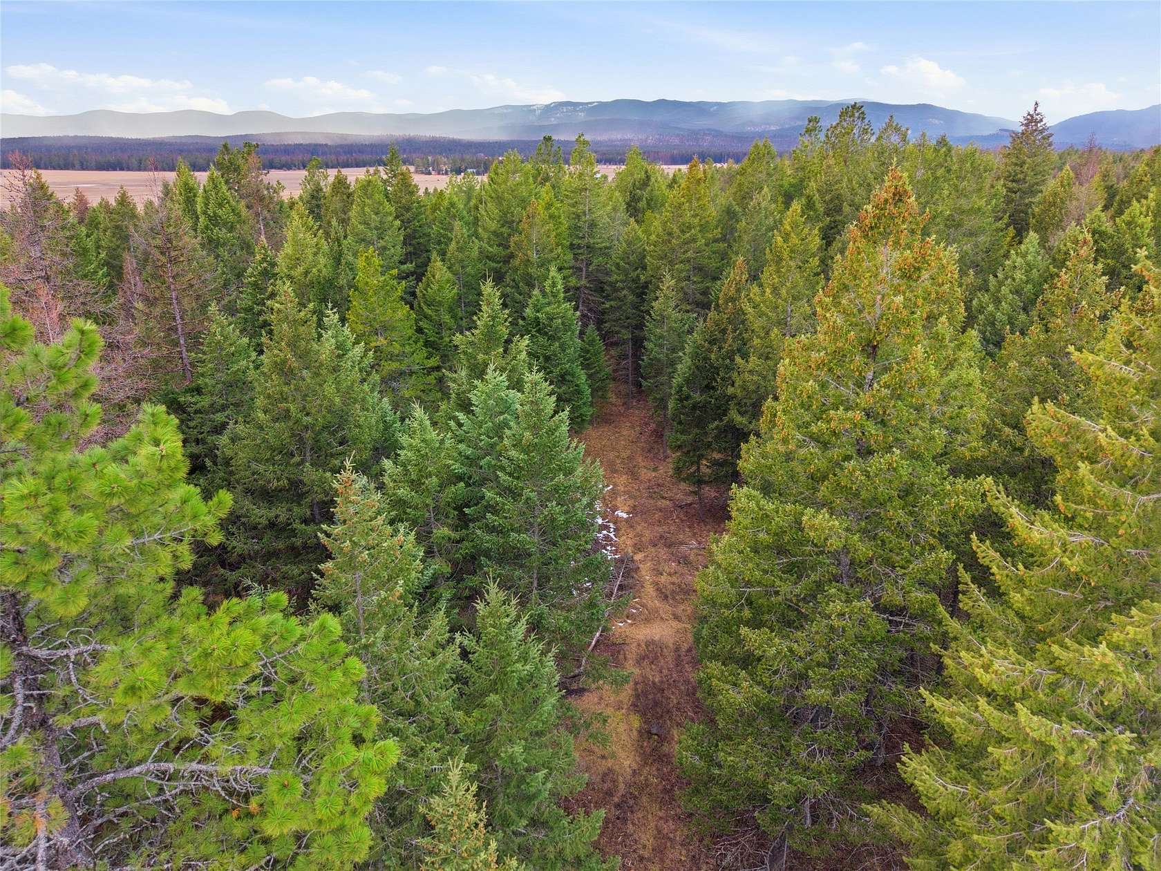 10 Acres of Land for Sale in Whitefish, Montana