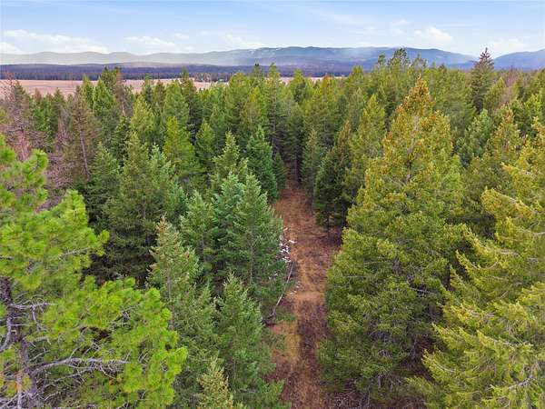 10 Acres of Land for Sale in Whitefish, Montana