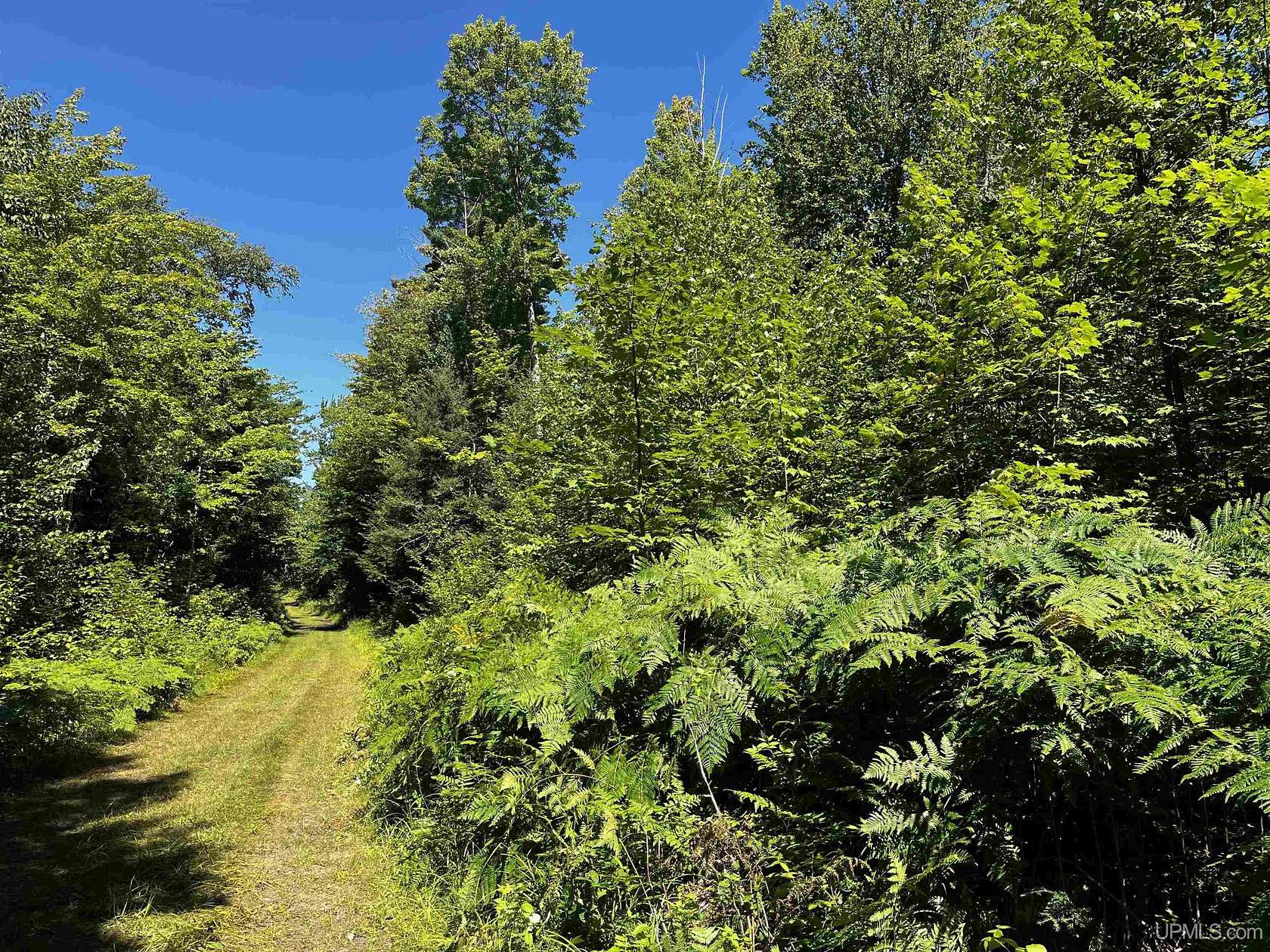 56 Acres of Recreational & Residential Land for Sale in Skandia, Michigan