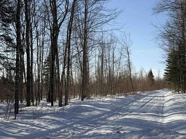 56 Acres of Recreational & Residential Land for Sale in Skandia, Michigan