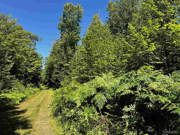 56 Acres of Recreational & Residential Land for Sale in Skandia, Michigan
