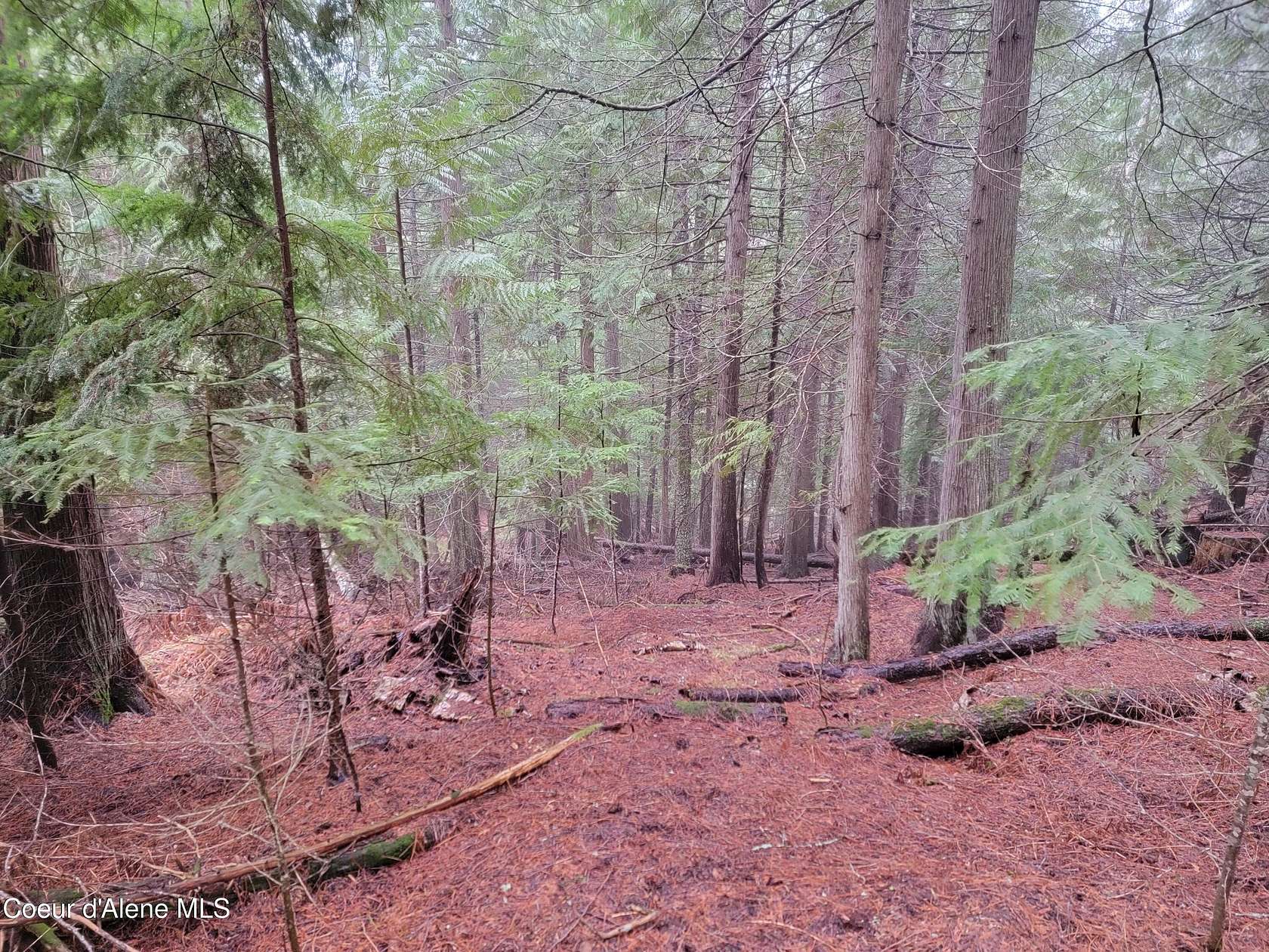 5.5 Acres of Residential Land for Sale in Priest River, Idaho