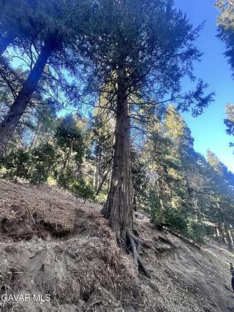 0.11 Acres of Land for Sale in Crestline, California