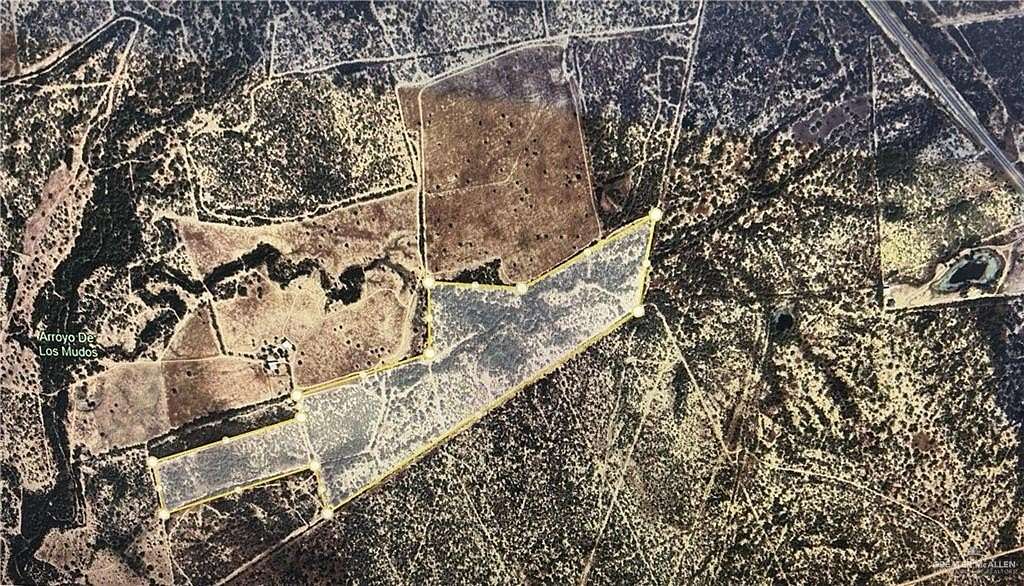 66 Acres of Agricultural Land for Sale in Roma, Texas