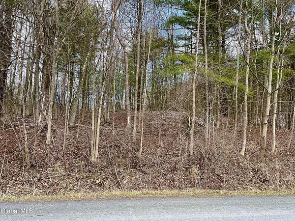 39 Acres of Recreational & Residential Land for Sale in East Greenbush, New York