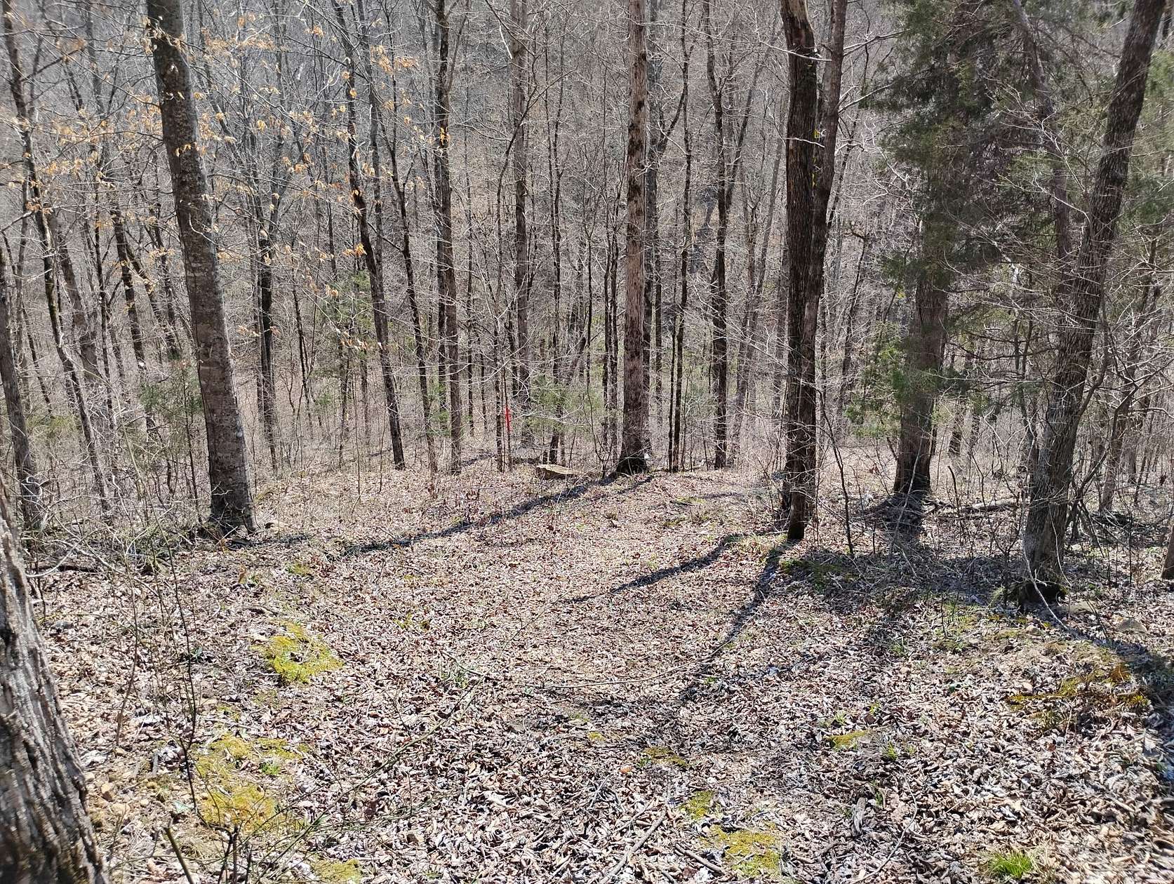 5.2 Acres of Residential Land for Sale in Waynesboro, Tennessee